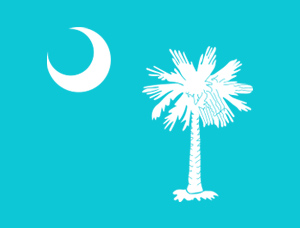 palmettoflag